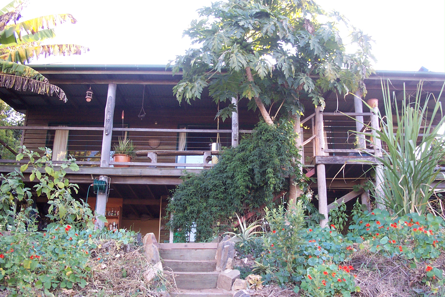 Looking up at the house