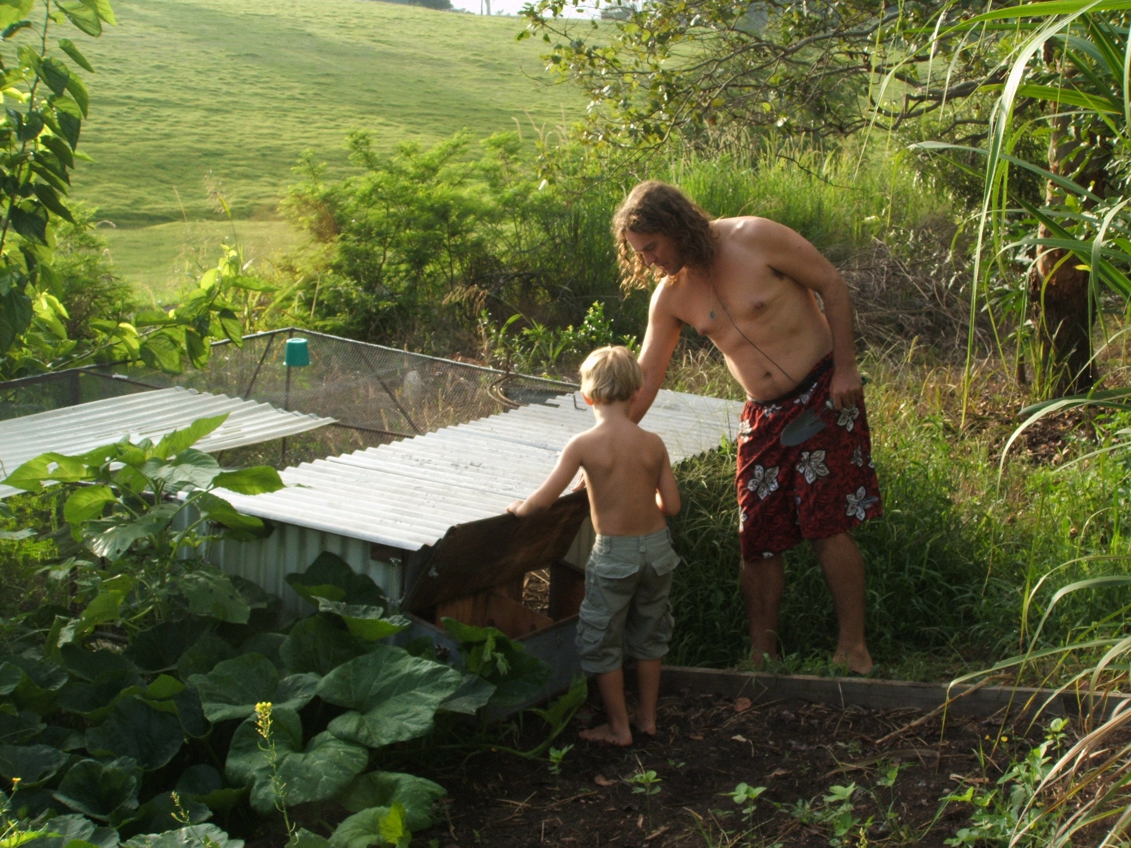 Collecting chook eggs