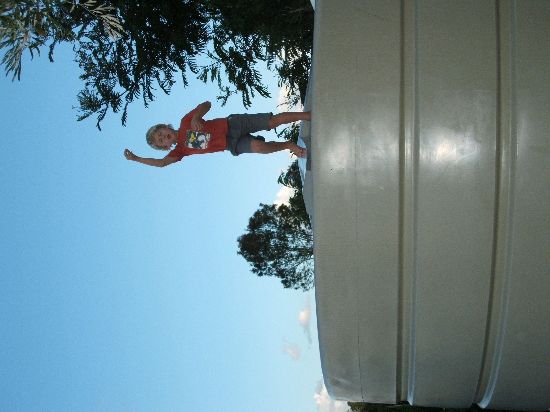 Cal jumping on the rainwater tank