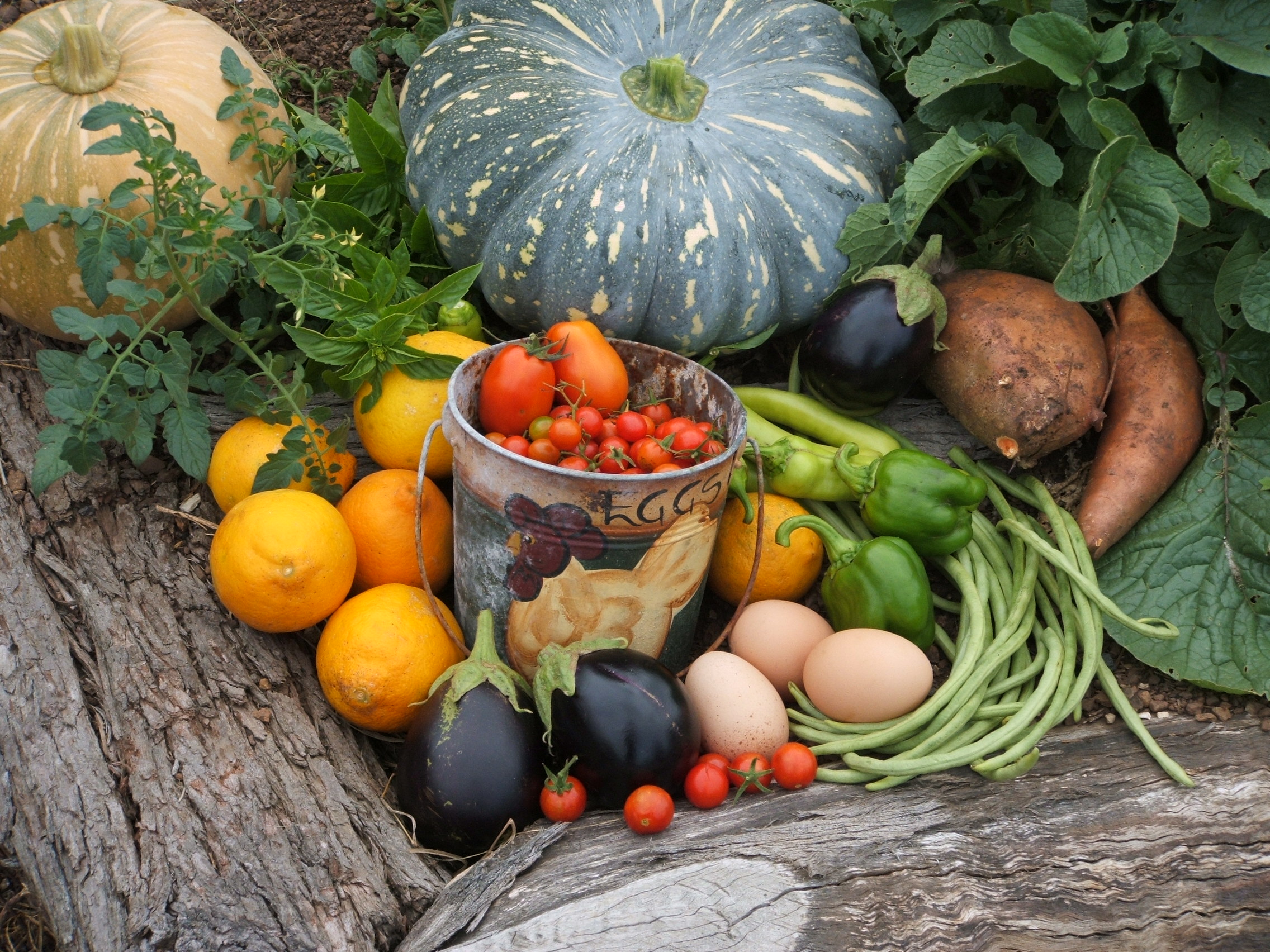 A daily haul of veggies