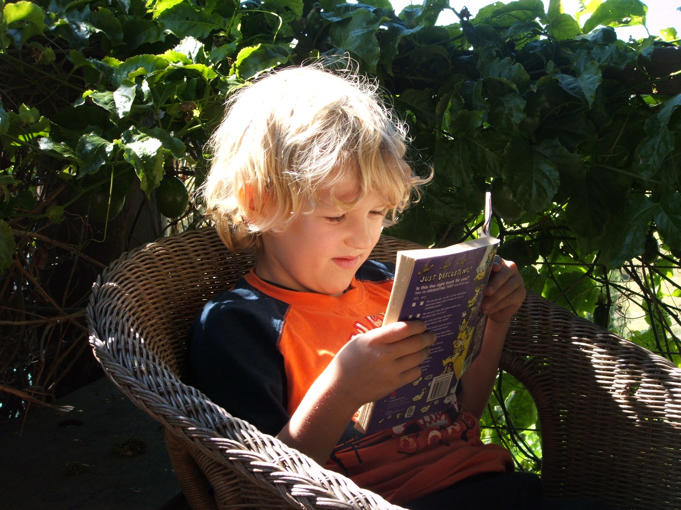 Homeschooling in the sun