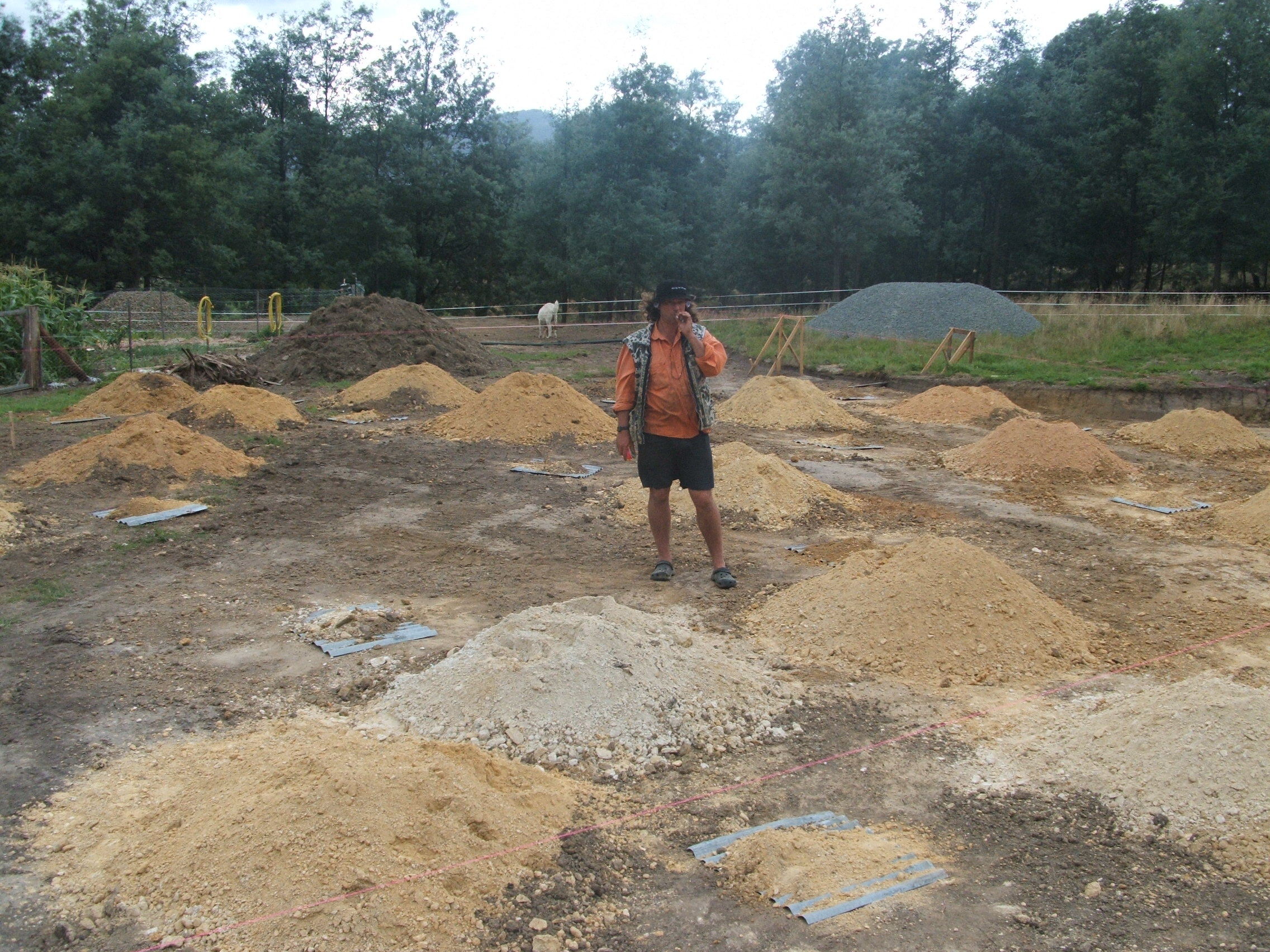 Making molehills. This is the soil deposits from the auger excavations for the posts.