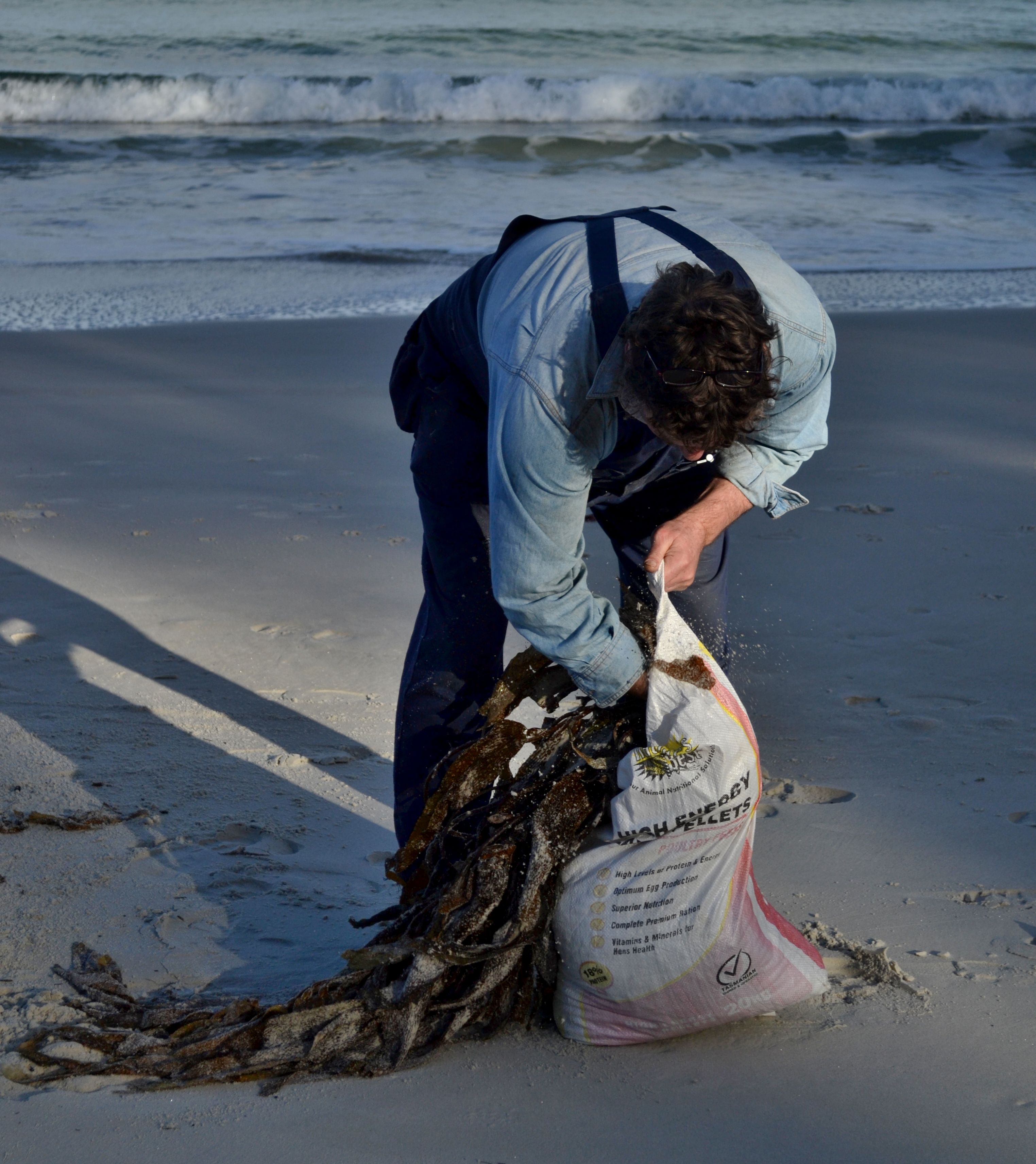 Harvesting seaweed to use in the garden