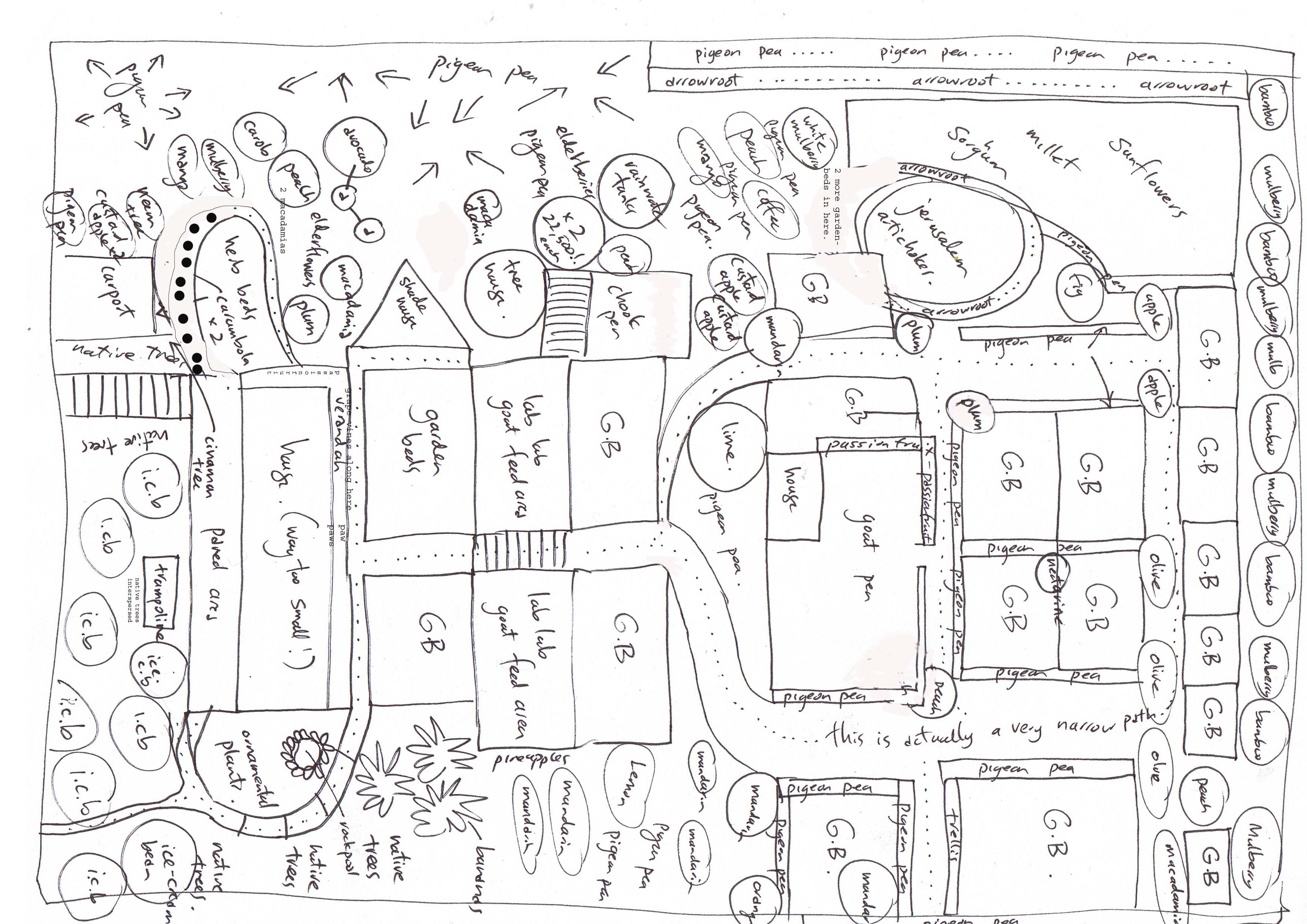 Mud Map of the garden