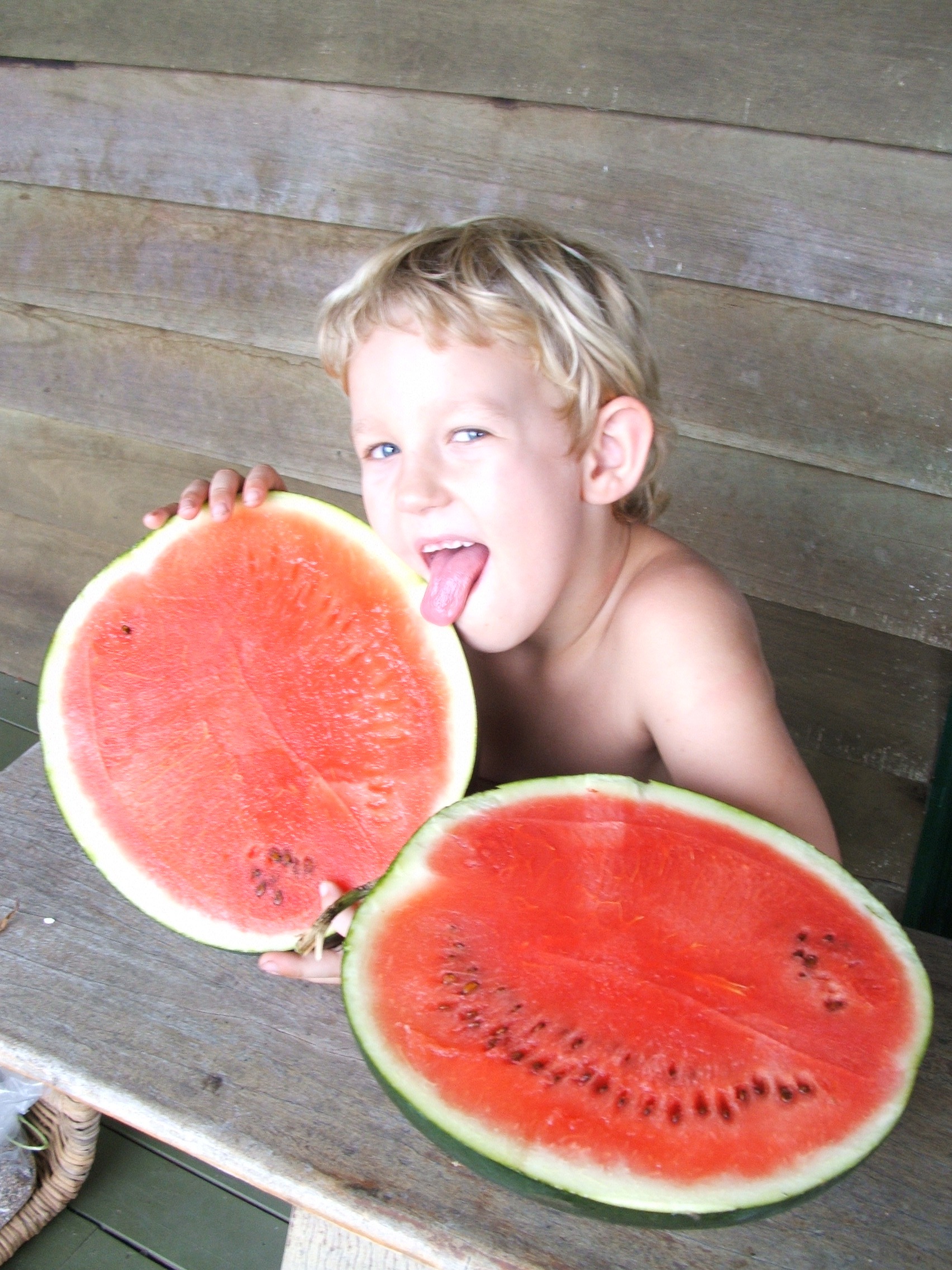 The Watermelon Felon