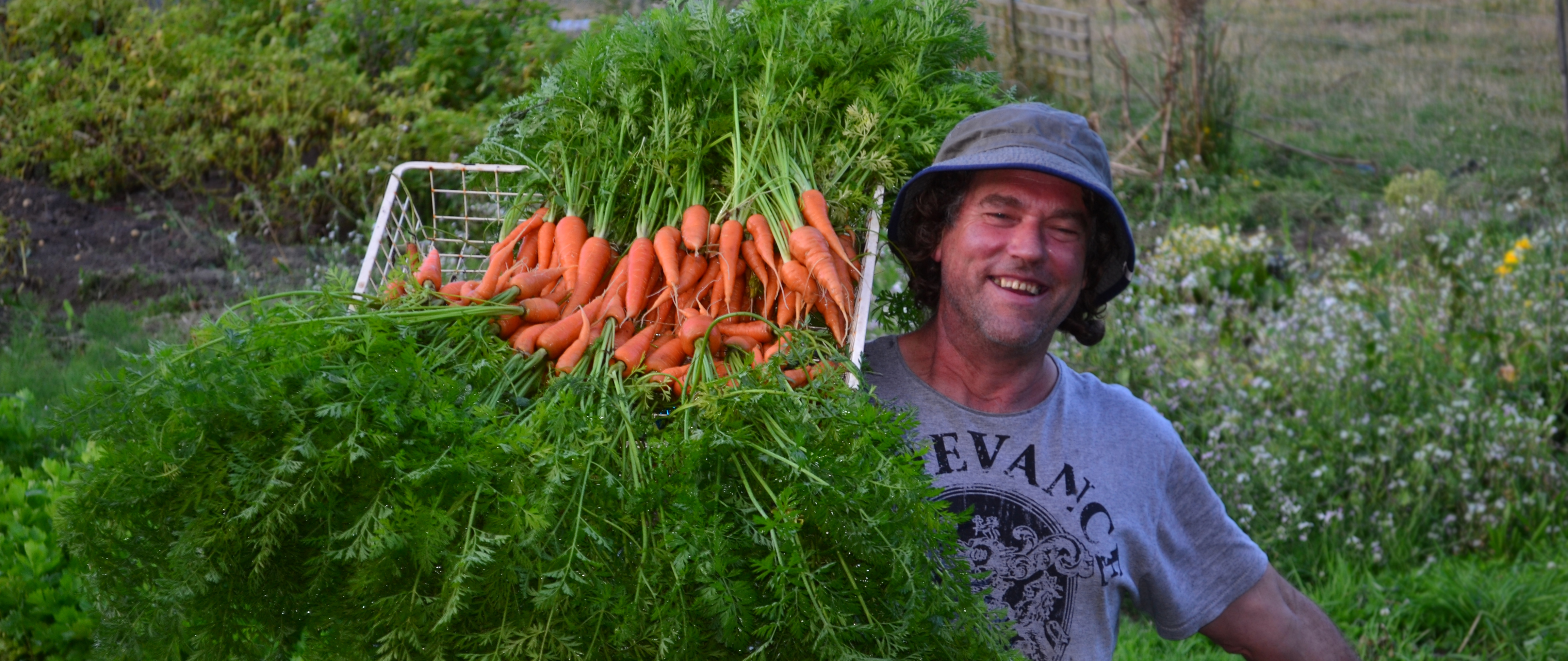 Carrots were always popular at the market garden stall (so was Trev)